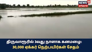 Thiruvarur Heavy Rain | தொடர் கனமழையால் சுமார் 30,000 ஏக்கர் நெற்பயிர்கள் சேதம்