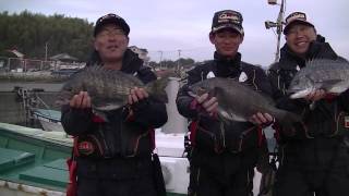 ２０１４高知県宿毛湾チヌシーズンの幕開け