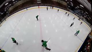 CNY Adult Hockey League - Iguanas vs Maplewood