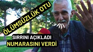 Ölümsüzlük Otu Bulan Amca Konuştu Otçu Kadir Amca Mucizevi Otu Anlatıyor! Sonuna Kadar İzle PART 4