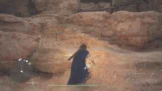 Dragon's Dogma 2_探求心の証集めバタル　竜喰塔方面❗