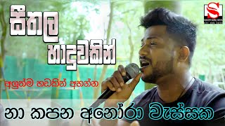 Sarasaviya (නාකපන අනෝරා වැස්සක) Seethala Haduwakin -  Kavindu Tharuka @yasithkelambiarachchiyash