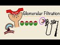 Glomerular Filtration | GFR | Starling Forces | Tubuloglomerular Feedback | Renal Physiology