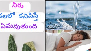 🏄‍♀️ నీరు కలలో కనిపిస్తే ఎటువంటి ఫలితాలు కలుగుతాయి 💕💕