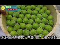 【青梅レシピ】和食の翡翠青梅　青梅煮　失敗しない作り方とコツ　緑色の戻し方