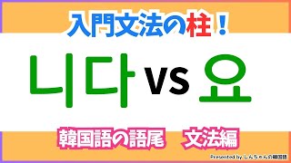 🔰独学の方必見、韓国語の初級文法の説明です。【韓国語｜入門者｜初級者】