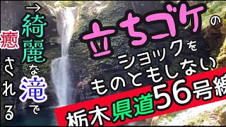 立ちゴケのショックをものともしない栃木県道56号塩原矢板線　じぇふのモトブログ【006】