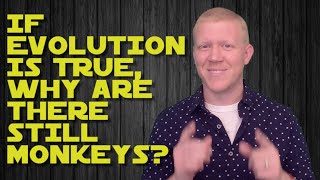 If Evolution Is True, Why Are There Still Monkeys?