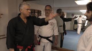 Integrating the Budo 3