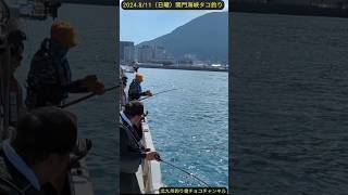 【関門海峡】関門タコはリリースするかしないかサイズばかりがほとんど。 #釣り #fishing