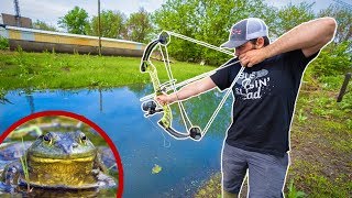 BULLFROG Bowfishing in TINY CREEK!!! (Lucky Shot) - Catch Clean Cook