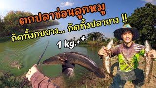 ตกปลาช่อนบุฟเฟ่ต์..มีแต่ไซส์ใหญ่ๆ !! ทริปแรกของปี 66 | ตกปลา ชิว ชิว