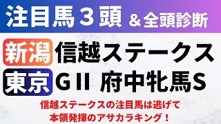 【2024信越S/府中牝馬S】競馬予想｜信越ステークスの注目馬は逃げて本領発揮のアサカラキング！