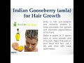 how to use amla or gooseberry powder for hair growth u0026 hair conditioner