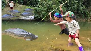 Meet the giant fish in a puddle. The girl created a sharp nail. Ancient way of fishing
