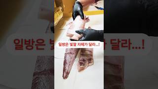 같은 방어 양식이라도 완전 순환 양식은 다르다!