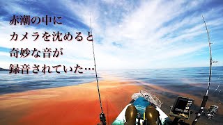 赤潮の中にカメラを沈めてみたら奇妙な音が録音されていた…