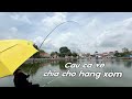 Cô Hàng Xóm Dặn Cá Và Cái Kết