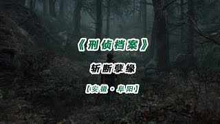 安徽省·阜阳市：母亲欠下的债，儿子替她还 #大案纪实