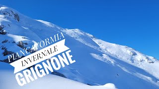 PIANCAFORMIA INVERNALE - GRIGNONE