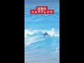 【絶対ミスれない】突っ込んだら終了 shorts surf surfing