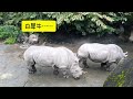 台北親子景點│臺北市立動物園│袁彬的美食旅遊筆記