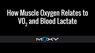 How Muscle Oxygen Relates to Vo2 and Blood Lactate