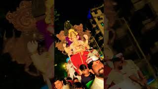 MULUND CHA MARAJA 👑 King of Mulund 👑🐯👑👑#video #ganapatibappamorya #viral