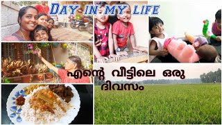 A Day in my life|എന്റെ വീട്ടിലെ ഒരു ദിവസം|A day in my life Malalayalam vlog,|Vk Taste Hub.