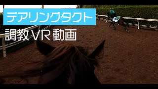 デアリングタクト　調教VR動画（Daring Tact training video)