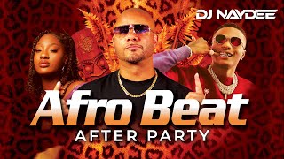 Afro Beat Mix 2022 - 2016 | Best Of AfroBeat | Davido, Tems, Wizkid, Ckay | Mixed by DJ Naydee