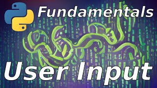 User Input: Python Basics (11)