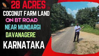 28 Acres Coconut Farm land for Sale near Mundargi Davanagere Karnataka