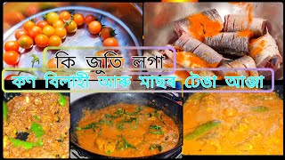 কণ বিলাহী আৰু মাছ | জুতি লগা আঞ্জা | Fish with tomato gravy | fish curry recipe |fish gravy |