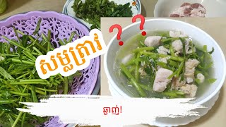 ម្ហូបប្រចាំតំបន់ សម្លត្រាវ - Taro Soups Recipe