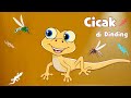 Lagu CICAK di Dinding | Lagu Anak Anak | Cicak Cicak di Dinding lagu anak