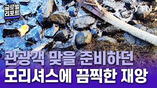 관광객 맞을 준비하던 모리셔스에 끔찍한 재앙 [글로벌 리포트] / YTN KOREAN