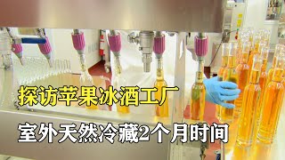 探訪蘋果冰酒工廠：天然冷藏2個月，等待發酵1個月