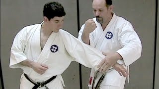 One Minute Bunkai: Seisan Bunkai Series Part 1