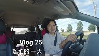 【Vlog25】加拿大生活 平凡而繁忙的一天┃创业前期准备