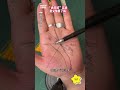 幫粉絲看手相 手相 palmistry