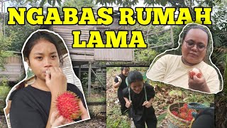 Vlog (ep7) NGAMBI BUAH RAMBUTAN BA RUMAH LAMA Last Day