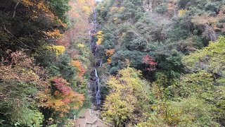 常清滝 Jose Falls～日本の滝百選･紅葉･中国地方随一の大きな名瀑【日本の滝 広島 備後 江の川 Japanese waterfall Hiroshima Gonokawa River】