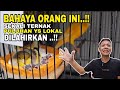 JANGAN DI SKIP‼️ILMU LANGKA CARA YANG JARANG DI BEBERKAN PETERNAK YS.DI INDONESIA