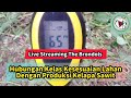 Live Streaming The Brondols: Hubungan Kelas Kesesuaian Lahan Dengan Produksi Kelapa Sawit