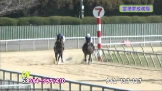 【2012育成馬展示会　調教映像】№53 シルキークラフトの10