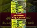 அரிசி விலை உயரும் அபாயம் shorts rice gst