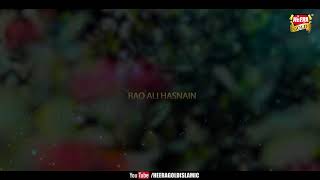 Rao Ali Hasnain - Haal e Dil - Official Video - (720P_HD)