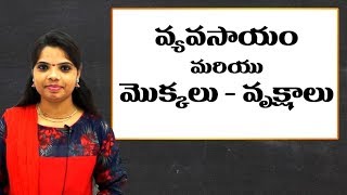 Agriculture related words in telugu | వ్యవసాయం | Learn telugu for all