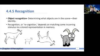 CogPsy W02a -- Ch 04 -- 05 How do we recognize objects (part I)? (Template Matching)